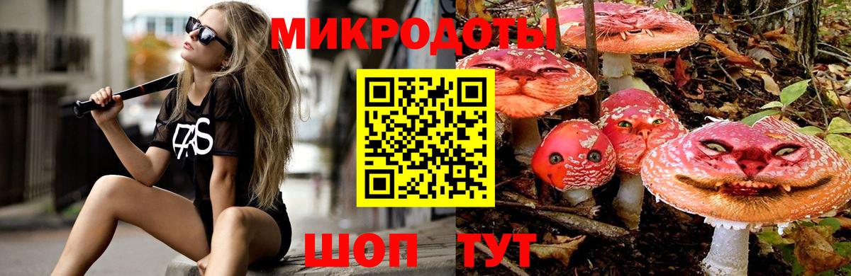 Псилоцибиновые грибы мицелий Сосновый Бор