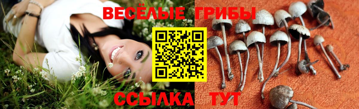 Сосновый Бор  Галлюциногенные грибы мухоморы  Вход с VPN  Галлюциногенные грибы GOLDEN TEACHER 